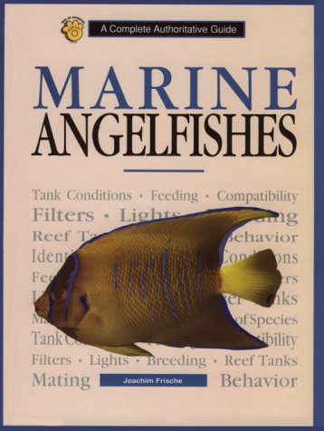 Marine Angelfishes