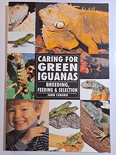 Stock image for The Guide to Owning a Green Iguana for sale by Hastings of Coral Springs