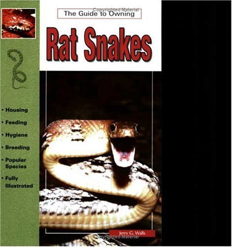 Rat Snakes (9780793802562) by Walls, Jerry G.