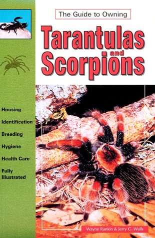 Beispielbild fr Tarantulas & Scorpions zum Verkauf von Pensees Bookshop