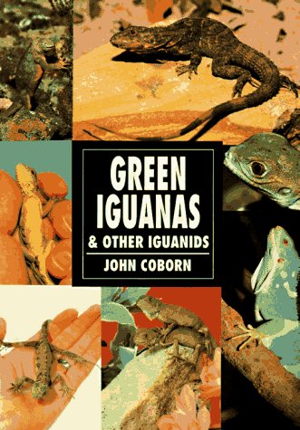 Stock image for Green Iguanas and Other Iguanids for sale by Wonder Book