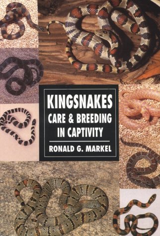 Kingsnakes Care and Breeding in Captivity