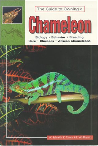 Stock image for The Guide to Owning a Chameleon for sale by Wonder Book