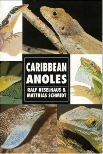 Stock image for Caribbean Anoles for sale by Zoom Books Company