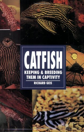 Imagen de archivo de Catfish: Keeping & Breeding Them in Captivity a la venta por Half Price Books Inc.