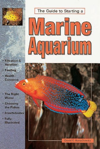 Imagen de archivo de Starting Your Marine Aquarium a la venta por SecondSale