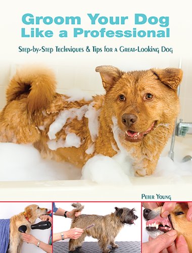 Beispielbild fr Groom Your Dog Like a Professional: Step-By-Step Techniques and Tips for a Great Looking Dog zum Verkauf von Wonder Book