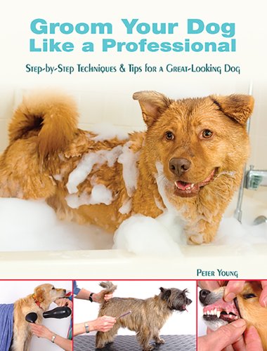 Imagen de archivo de Groom Your Dog Like a Professional: Step-By-Step Techniques and Tips for a Great Looking Dog a la venta por Wonder Book