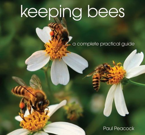 Stock image for Keeping Bees : A Complete Practical Guide for sale by Better World Books