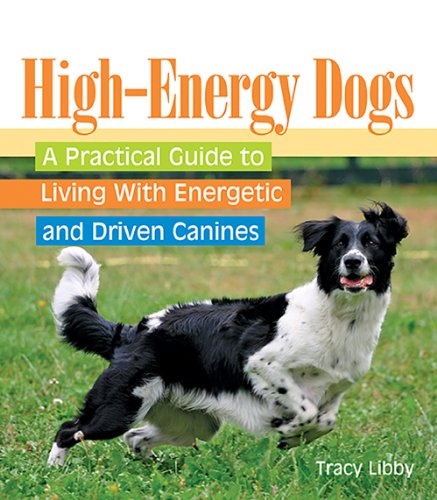 Beispielbild fr High-Drive Dogs : A Practical Guide to Living with Energetic and Driven Canines zum Verkauf von Better World Books