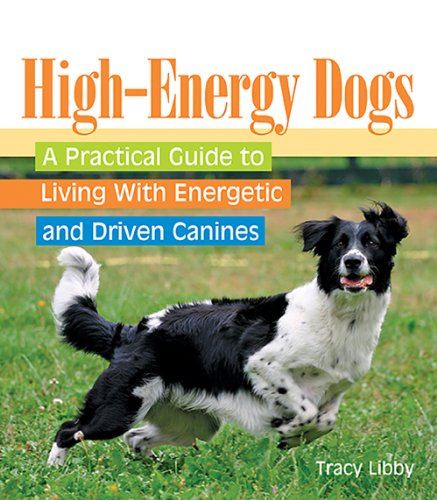 Imagen de archivo de High-Drive Dogs : A Practical Guide to Living with Energetic and Driven Canines a la venta por Better World Books