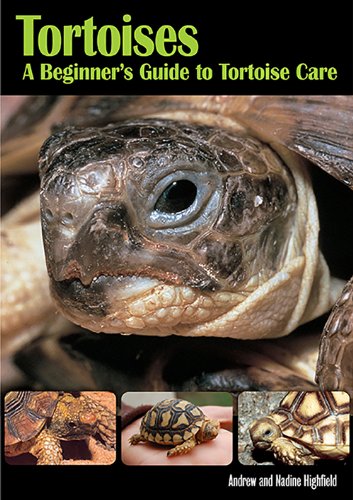 Stock image for Tortoises: A Beginner's Guide to Tortoise Care for sale by BooksRun