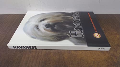 Stock image for Havanese: A Complete and Reliable Handbook for sale by Ergodebooks