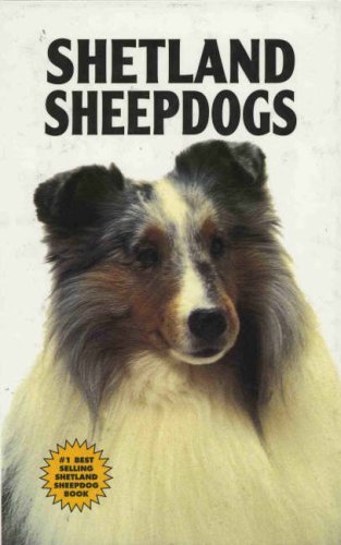 Shetland Sheepdogs