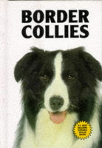 Imagen de archivo de Border Collies a la venta por Wonder Book