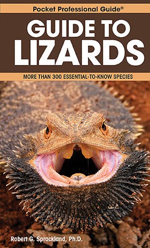 Beispielbild fr Pocket Professional Guide to Lizards zum Verkauf von Better World Books