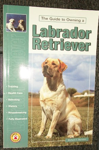 Imagen de archivo de Guide to Owning a Labrador Retriever : AKC Rank #1 a la venta por Better World Books: West