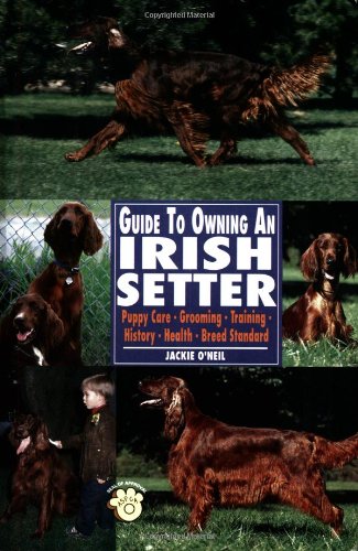 Stock image for Guide to Owning an Irish Setter: Puppy Care, Grooming, Training, History, Health, Breed Standard for sale by WorldofBooks