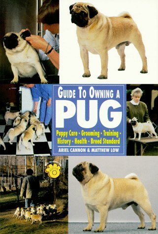 Beispielbild fr Guide to Owning a Pug zum Verkauf von Better World Books