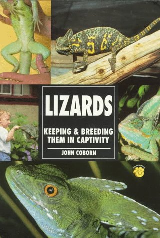 9780793820214: Lizards: Keeping & Breeding Them in Captivity