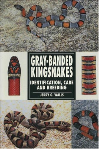 Gray-Banded Kingsnakes: Identification, Care and Breeding (9780793820610) by Walls, Jerry G.