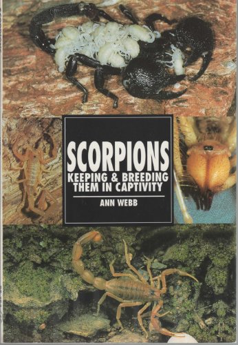 9780793820665: Scorpions: Keeping and Breeding Them in Captivity (Re-154)