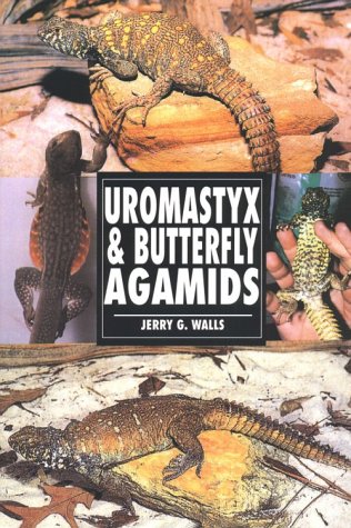Imagen de archivo de Uromastyx & Butterfly Agamids a la venta por Once Upon A Time Books