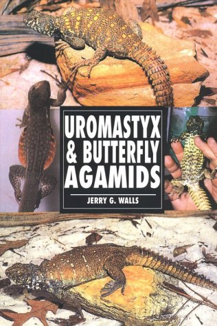 Stock image for Uromastyx & Butterfly Agamids for sale by Once Upon A Time Books