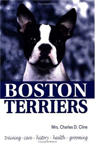 Beispielbild fr Boston Terriers zum Verkauf von WorldofBooks