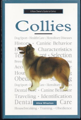 A New Owner's Guide to Collies