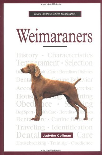 A New Owner's Guide to Weimaraners