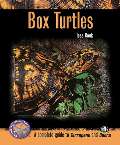 Beispielbild fr Box Turtles (Complete Herp Care) zum Verkauf von Wonder Book