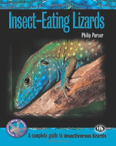 Imagen de archivo de Insect-Eating Lizards a la venta por Half Price Books Inc.