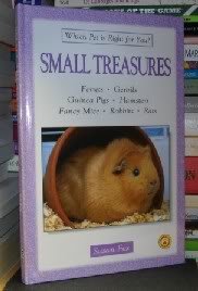 Stock image for Small Treasures Which Pet Is Right for You - Ferrets, Gerbils, Guinea Pigs, Hamsters, Fancy Mice, Rabbits, Rats for sale by Wonder Book