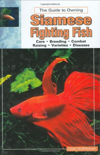 Beispielbild fr Siamese Fighting Fish zum Verkauf von MusicMagpie