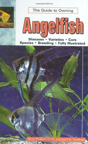Beispielbild fr The Guide to Owning Angelfish zum Verkauf von WorldofBooks