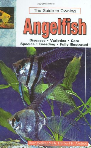 Imagen de archivo de The Guide to Owning Angelfish a la venta por WorldofBooks