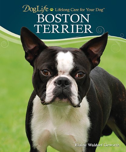 9780793836017: Boston Terrier [With DVD] (Doglife)