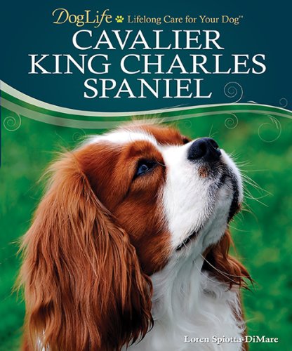 Beispielbild fr Cavalier King Charles Spaniel (DogLife: Lifelong Care for Your DogT) zum Verkauf von SecondSale