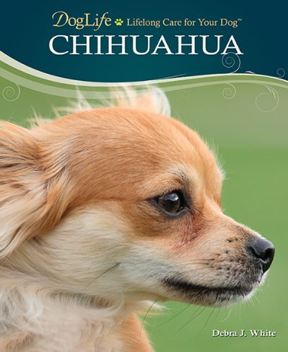 Stock image for Chihuahua (DogLife: Lifelong Care for Your Dog) for sale by Ergodebooks