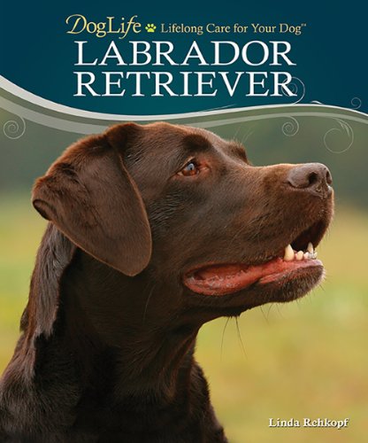 Beispielbild fr Labrador Retriever (DogLife: Lifelong Care for Your DogT) zum Verkauf von Wonder Book