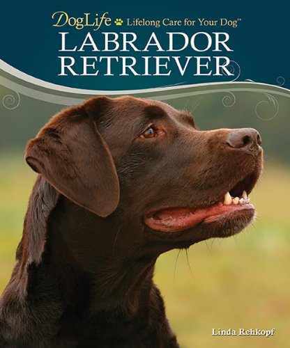 9780793836086: Labrador Retriever