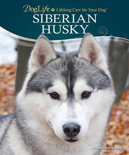 Beispielbild fr Siberian Husky zum Verkauf von Better World Books