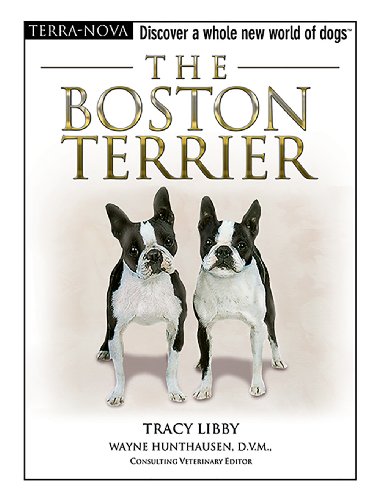 Beispielbild fr The Boston Terrier (Terra-Nova) zum Verkauf von Wonder Book