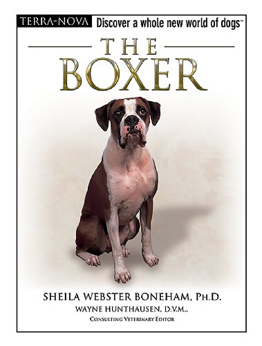 Beispielbild fr The Boxer (Terra-Nova) zum Verkauf von Wonder Book