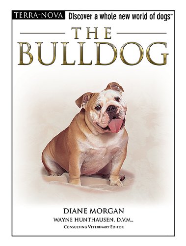 Stock image for The Bulldog (Terra-Nova) for sale by SecondSale