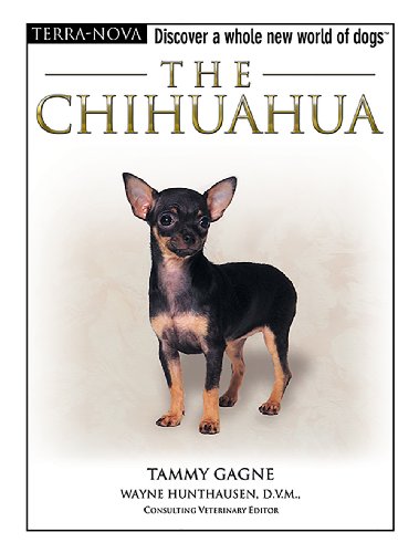 Beispielbild fr The Chihuahua zum Verkauf von Better World Books