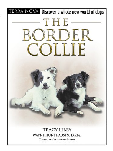 Stock image for The Border Collie (Terra-Nova) for sale by Your Online Bookstore