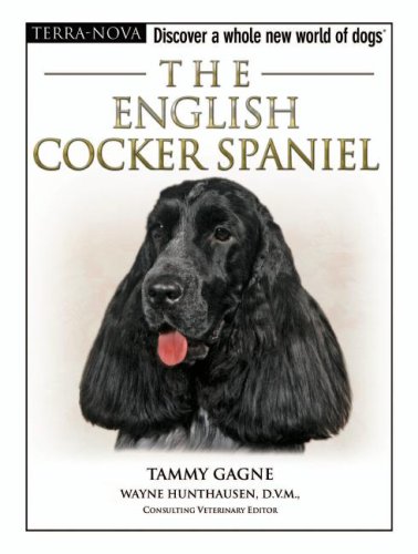 Beispielbild fr English Cocker Spaniel zum Verkauf von Better World Books