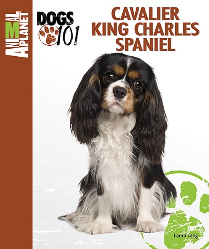 Imagen de archivo de Cavalier King Charles Spaniel a la venta por Better World Books